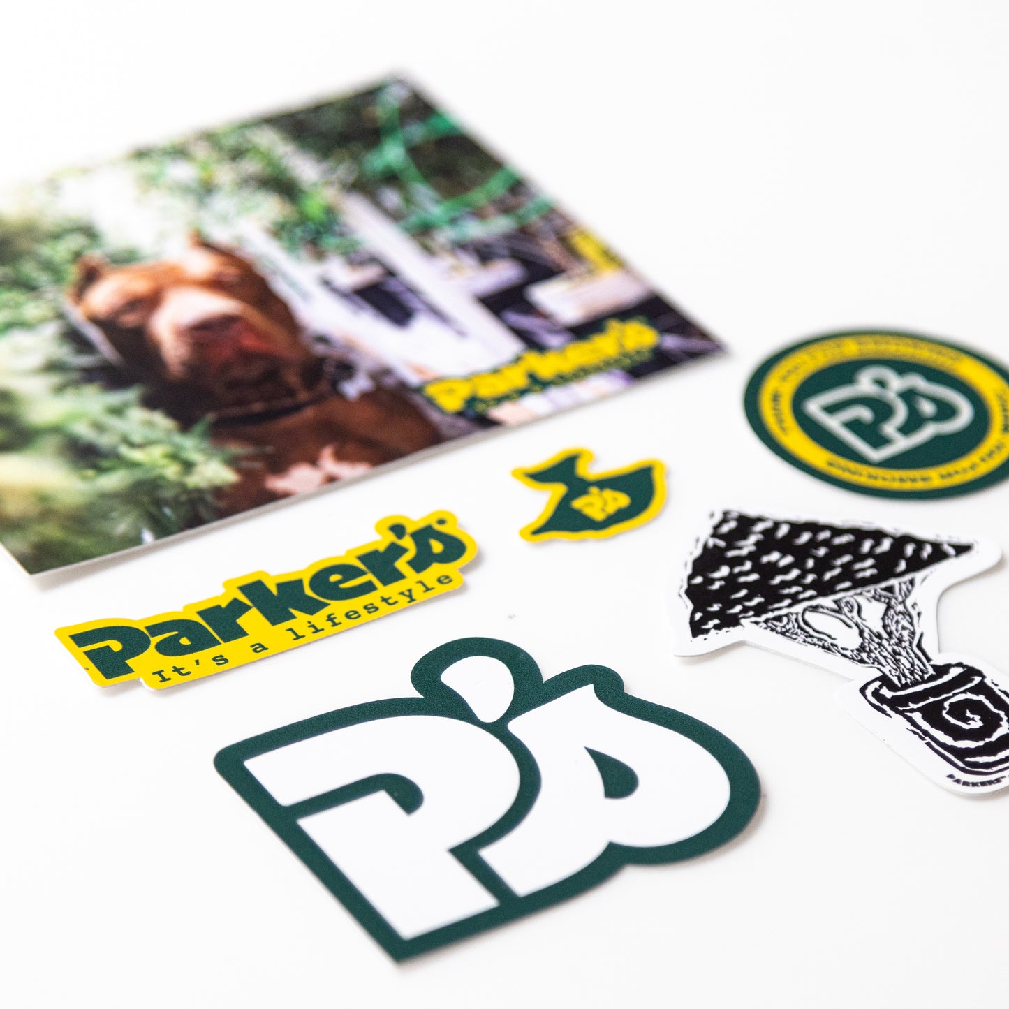 PARKER'S STICKER PACK