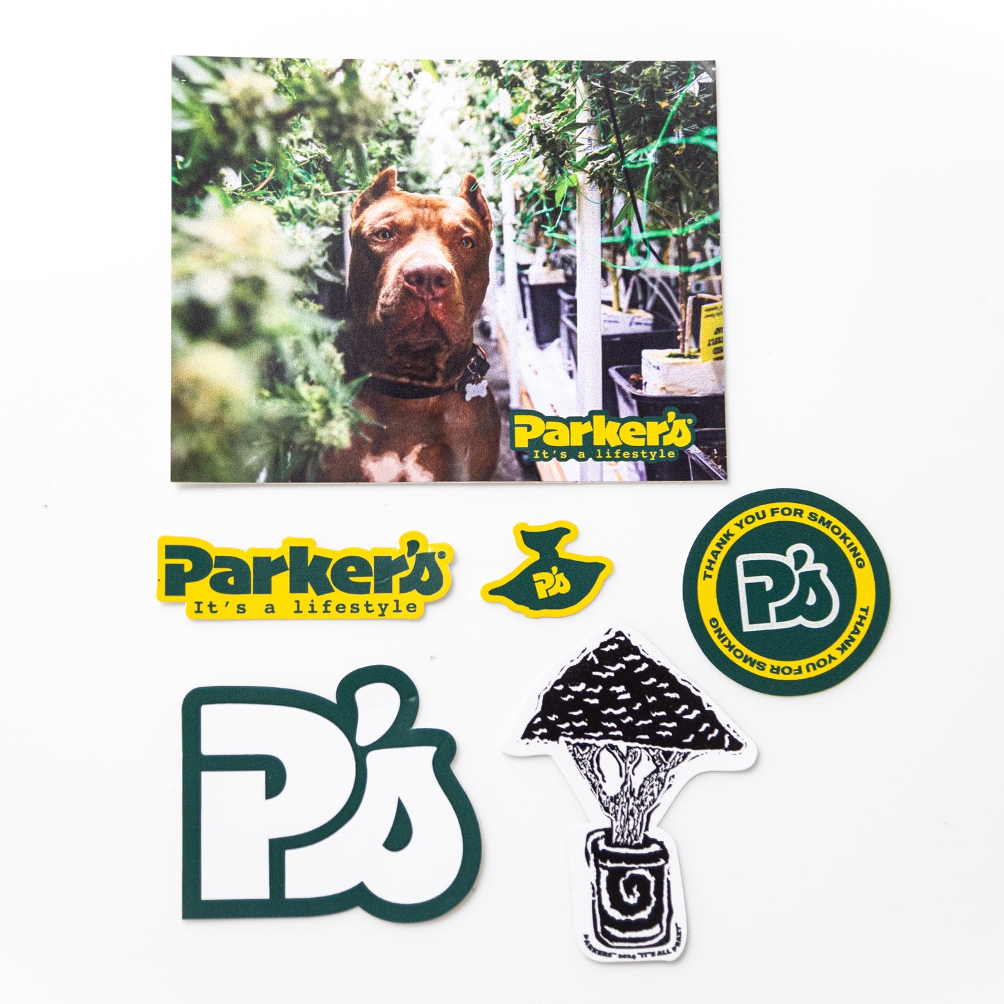 PARKER'S STICKER PACK